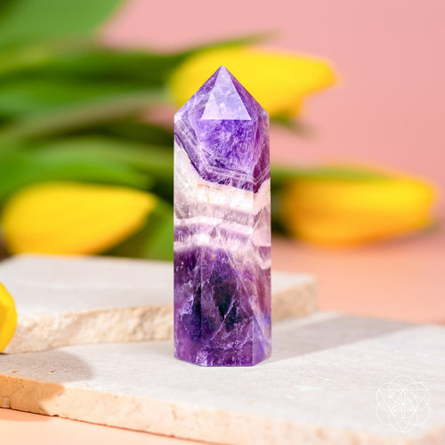 Cycle Breaker - Chevron Amethyst Point of Transformation crystal with purple, white, and clear banding, standing upright on