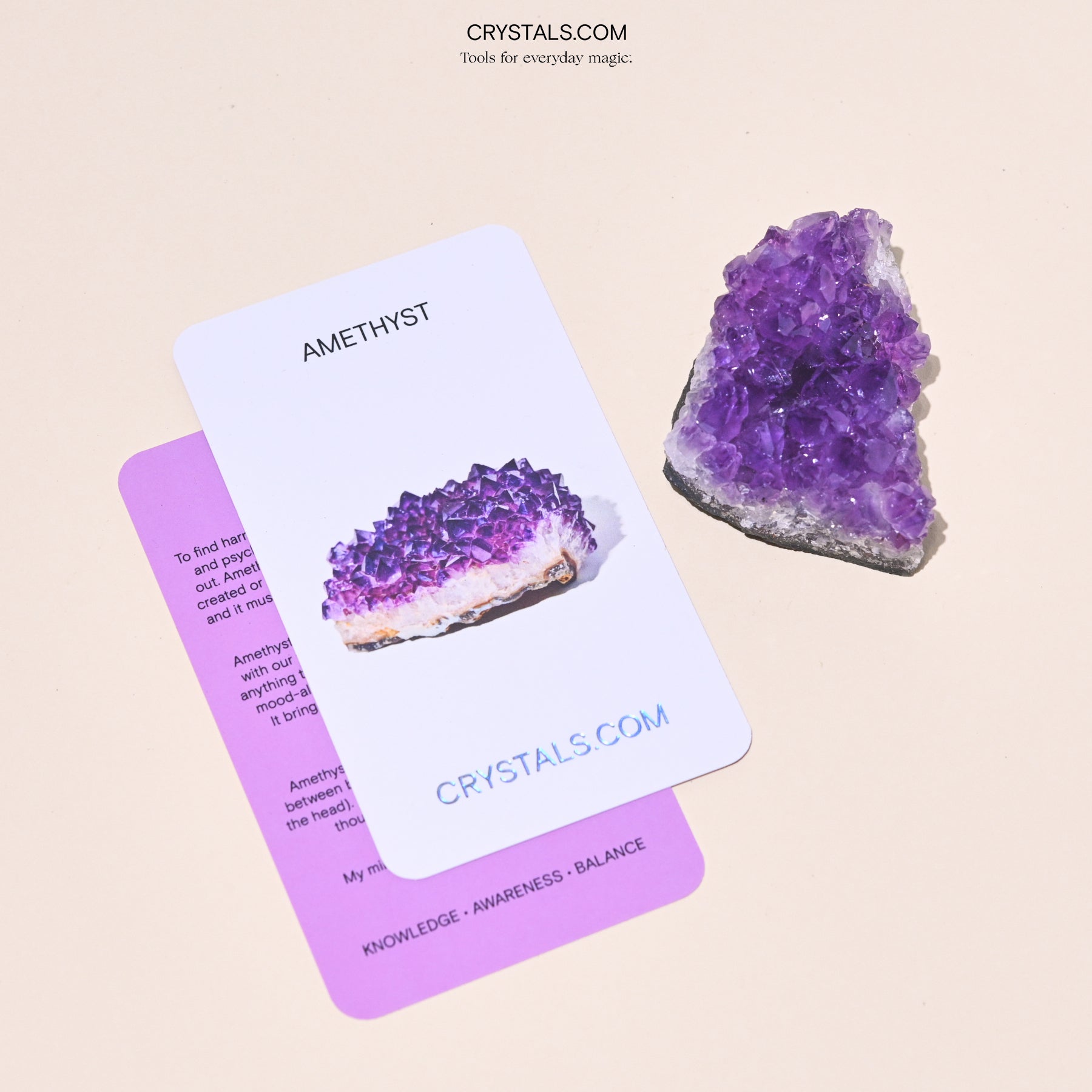 Amethyst Cluster with purple crystals on a white base, displayed next to an informational card about amethyst.